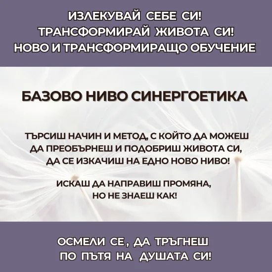 Курсове Курс Базово ниво Синергоетика