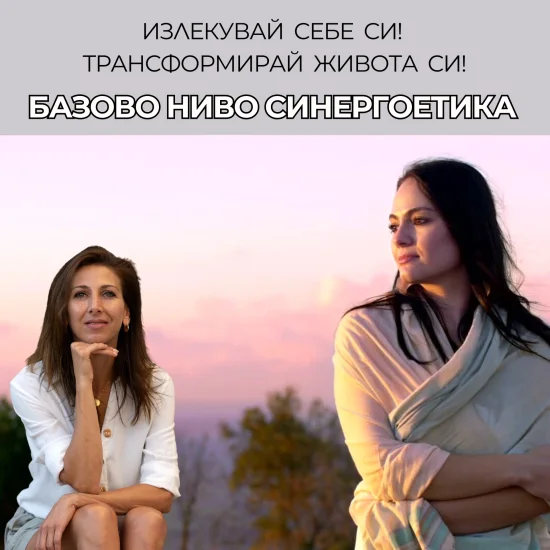 Курсове и практики Курс Базово ниво Синергоетика
