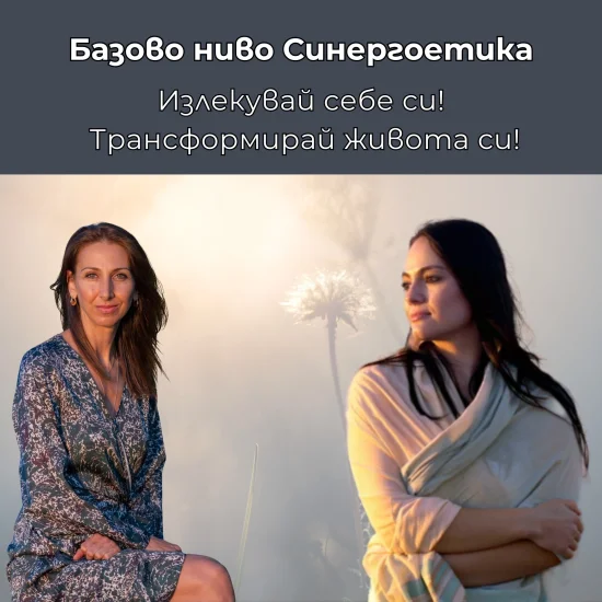 Курсове и практики Курс Базово ниво Синергоетика